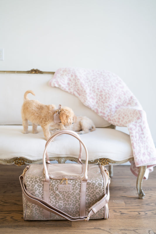 PRACTICALLY PERFECT Dog Carrier